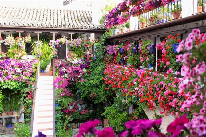 Apartamentos Los Patios De San Agustin قرطبة المظهر الخارجي الصورة